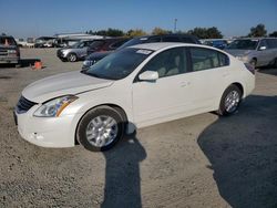 Nissan Vehiculos salvage en venta: 2010 Nissan Altima Base