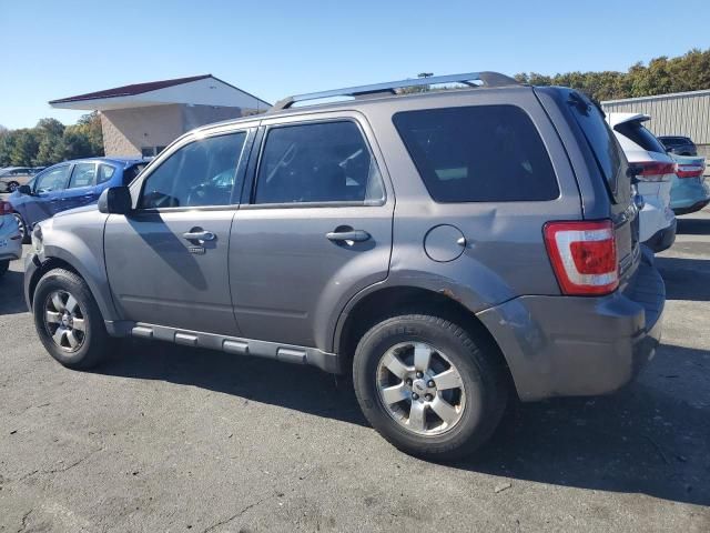 2011 Ford Escape Limited