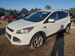 Salvage cars for sale at Elgin, IL auction: 2016 Ford Escape SE