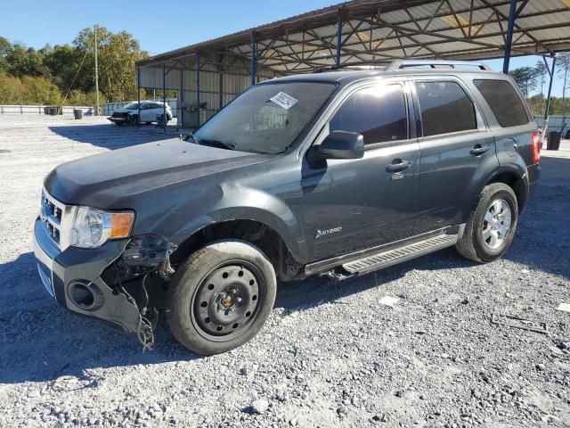 2010 Ford Escape Hybrid