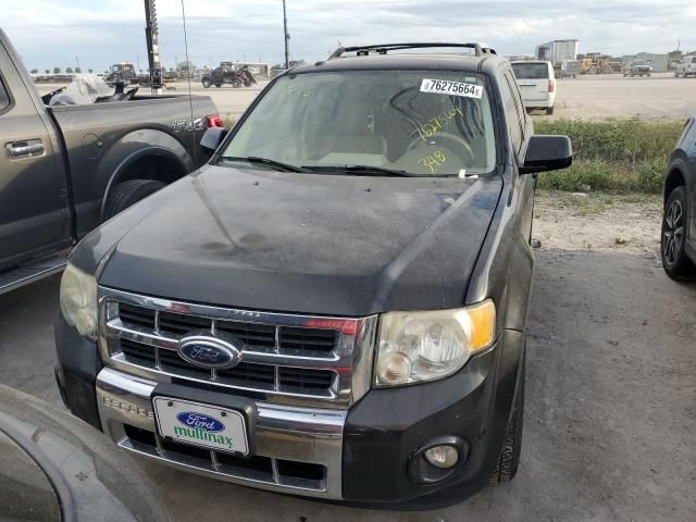 2011 Ford Escape Limited