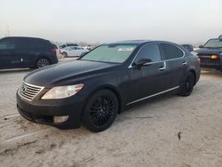 Lexus Vehiculos salvage en venta: 2011 Lexus LS 460