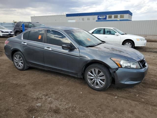 2008 Honda Accord EXL