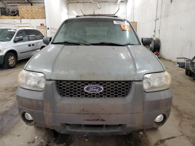 2007 Ford Escape XLT