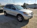 2009 Hyundai Santa FE GLS