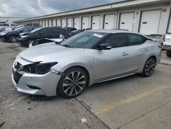 Salvage cars for sale at Louisville, KY auction: 2016 Nissan Maxima 3.5S