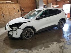 Salvage cars for sale at Ebensburg, PA auction: 2022 Ford Escape SE