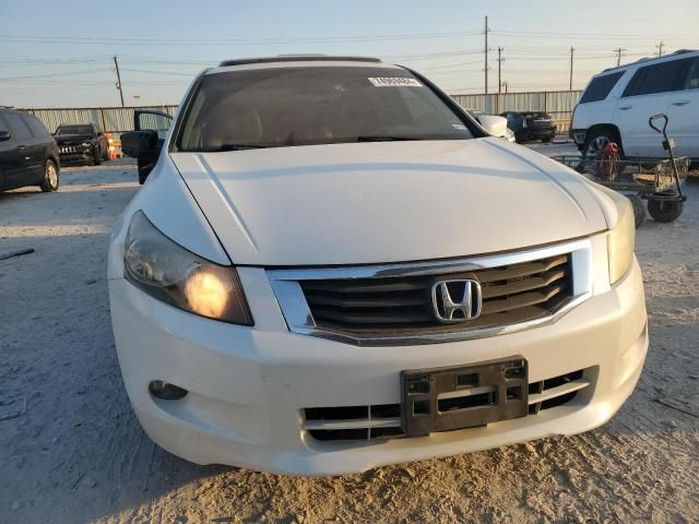 2008 Honda Accord EXL