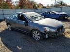 2009 Honda Accord EX