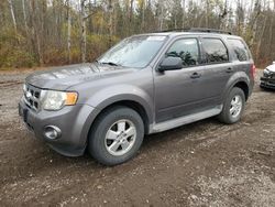 Salvage cars for sale at Cookstown, ON auction: 2009 Ford Escape XLT