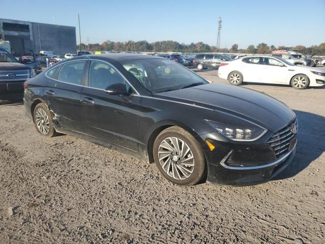 2023 Hyundai Sonata Hybrid