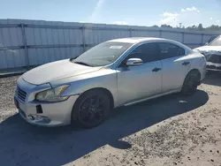 Salvage cars for sale at Fredericksburg, VA auction: 2009 Nissan Maxima S