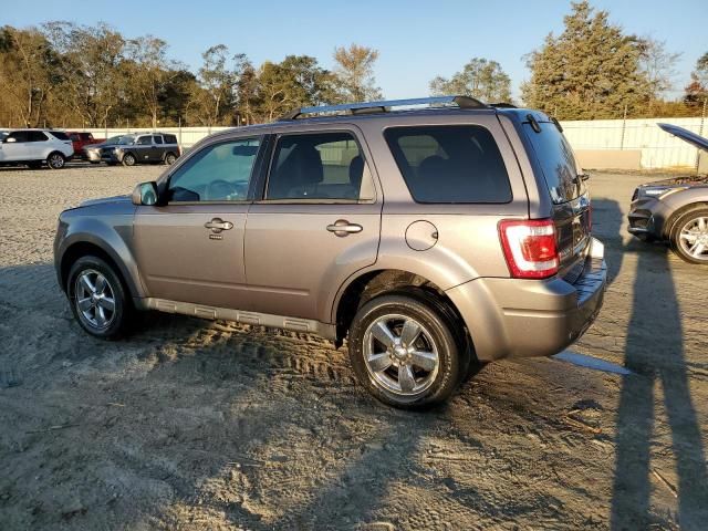 2009 Ford Escape Limited