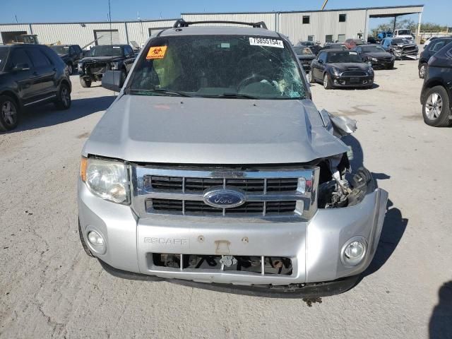 2009 Ford Escape XLT