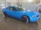 2010 Ford Mustang