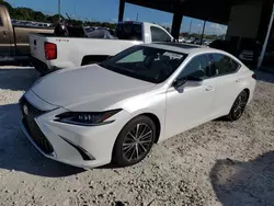 2024 Lexus ES 350 Base en venta en Homestead, FL