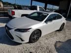 2024 Lexus ES 350 Base