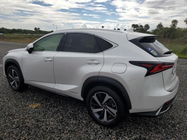 2021 Lexus NX 300H Base