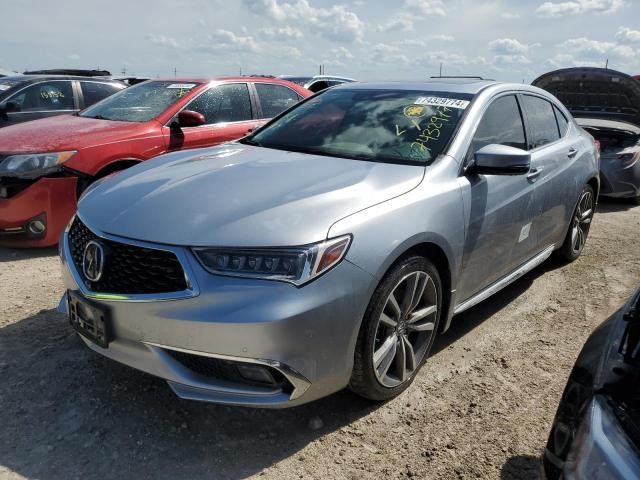 2019 Acura TLX Advance