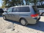 2008 Honda Odyssey EXL