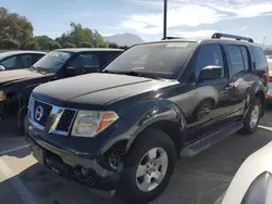 Salvage cars for sale at Colton, CA auction: 2005 Nissan Pathfinder LE