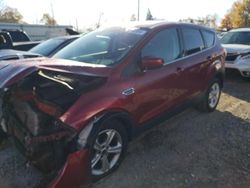 Salvage cars for sale at Lansing, MI auction: 2015 Ford Escape SE