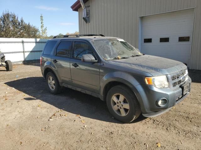 2010 Ford Escape XLT