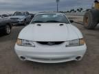 1997 Ford Mustang Cobra