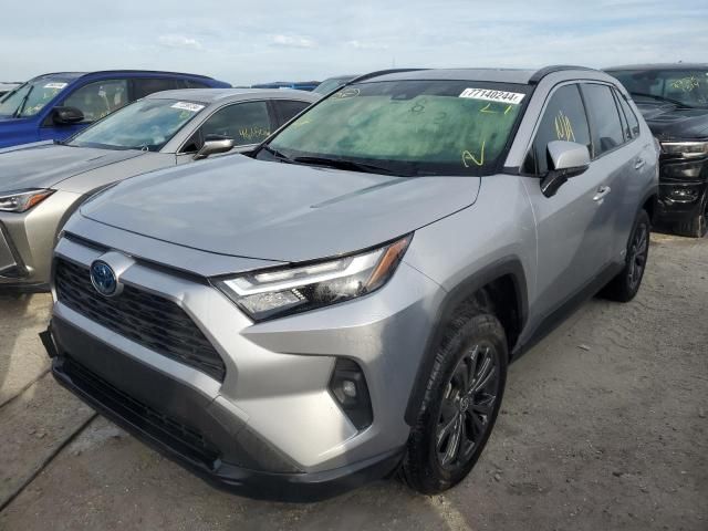 2023 Toyota Rav4 XLE Premium