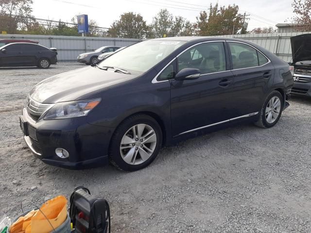 2010 Lexus HS 250H