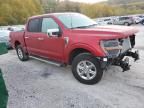 2024 Ford F150 XLT