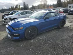 Ford Vehiculos salvage en venta: 2017 Ford Mustang Shelby GT350