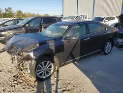 Salvage cars for sale at Lawrenceburg, KY auction: 2010 Lexus ES 350