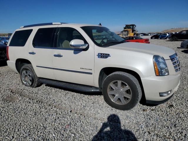 2013 Cadillac Escalade