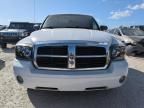 2006 Dodge Dakota Quad SLT