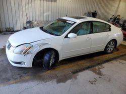 Nissan salvage cars for sale: 2005 Nissan Maxima SE