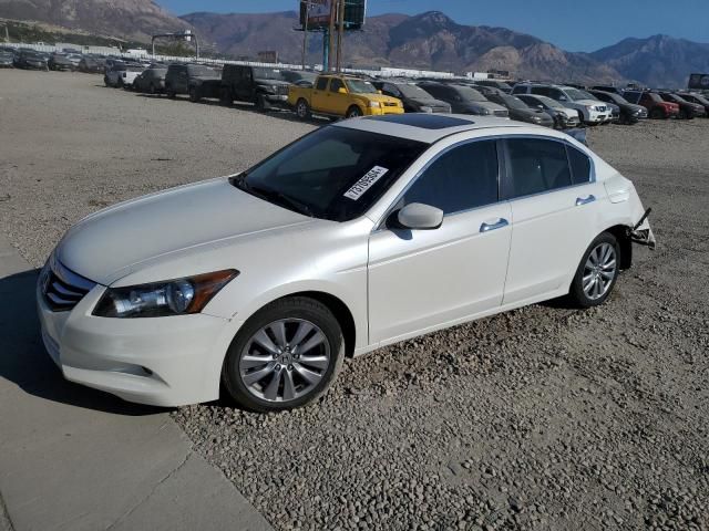 2011 Honda Accord EXL