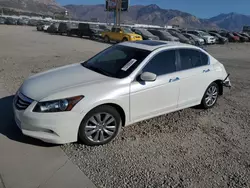 Honda Accord exl salvage cars for sale: 2011 Honda Accord EXL