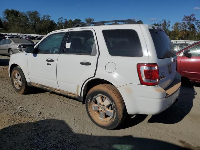 2009 Ford Escape XLT