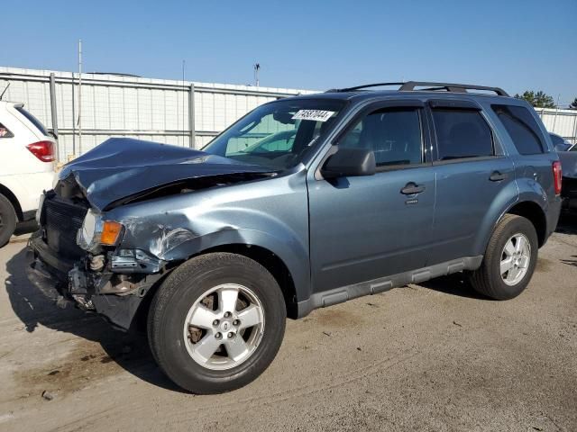 2010 Ford Escape XLT