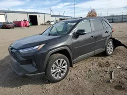 Toyota rav4 xle Premium salvage cars for sale: 2024 Toyota Rav4 XLE Premium