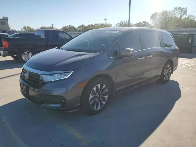 2024 Honda Odyssey EXL