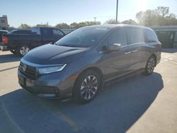 Salvage cars for sale at Wilmer, TX auction: 2024 Honda Odyssey EXL