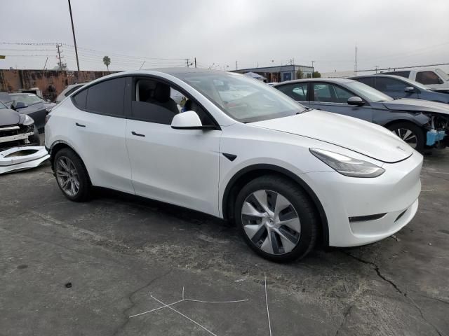 2020 Tesla Model Y