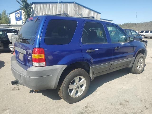 2006 Ford Escape XLT