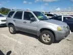 2007 Ford Escape XLS