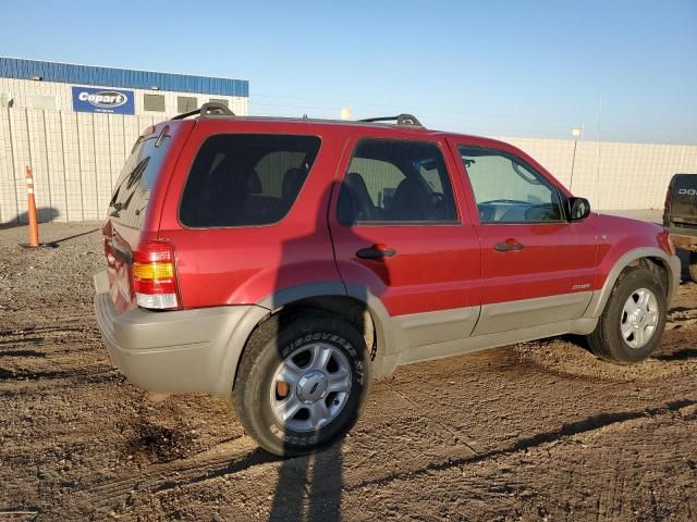 2001 Ford Escape XLT