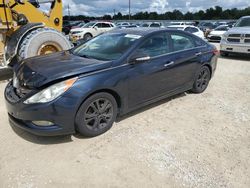 2011 Hyundai Sonata SE en venta en Arcadia, FL