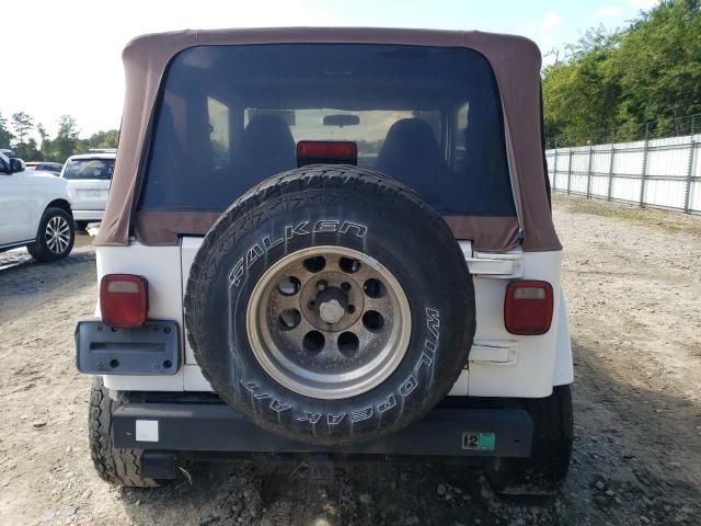 2001 Jeep Wrangler / TJ Sahara