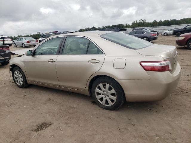 2007 Toyota Camry Hybrid